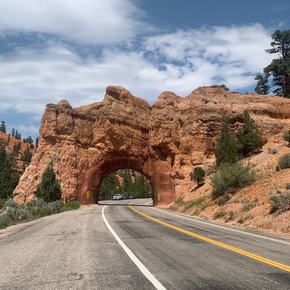 Meet your Posher, Denise - Picture 6 of 14